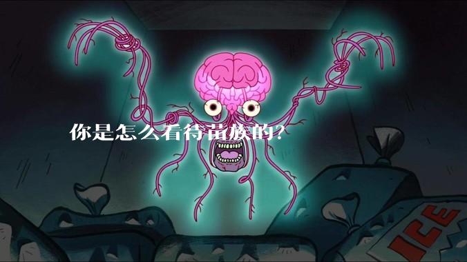 你是怎么看待苗族的？