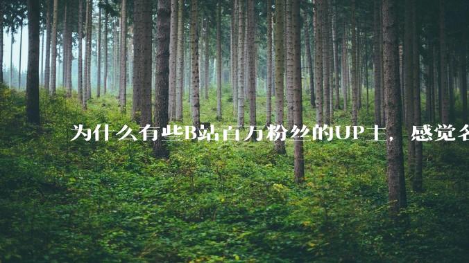 为什么有些B站百万粉丝的UP主，感觉名不副实，内容毫无营养？