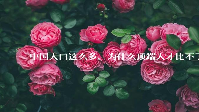 中国人口这么多，为什么顶端人才比不了西方？