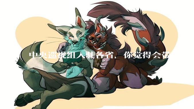 中央巡视组入驻各省，你觉得会带来什么变化吗？