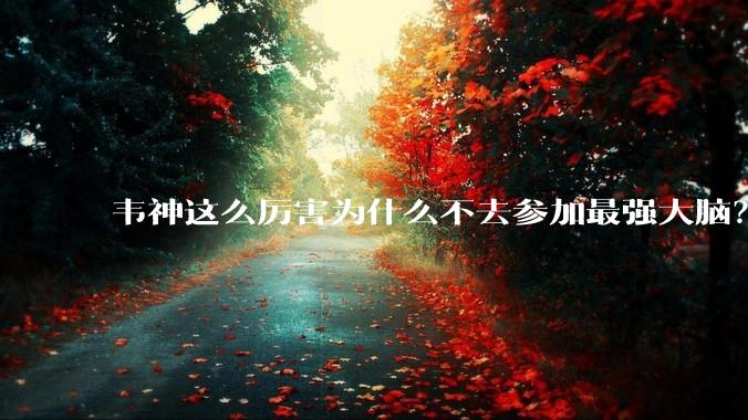 韦神这么厉害为什么不去参加最强大脑？