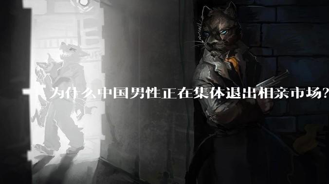 为什么中国男性正在集体退出相亲市场？