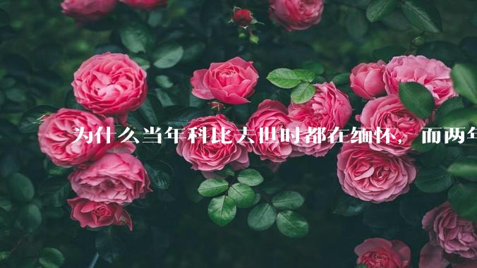 为什么当年科比去世时都在缅怀，而两年后却有越来越多的人用直升机开玩笑呢？（不关心也不要乱玩抽象啊）？