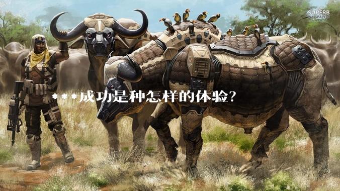 ***成功是种怎样的体验？