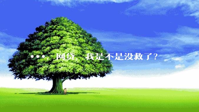***，网贷，我是不是没救了？