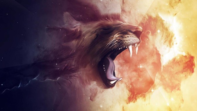 明星不拍戏的时候都在干什么？